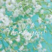 ヒメ日記 2025/03/17 11:19 投稿 りお 奥様プリモ