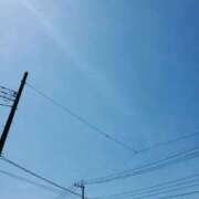 ヒメ日記 2025/05/03 11:19 投稿 りお 奥様プリモ