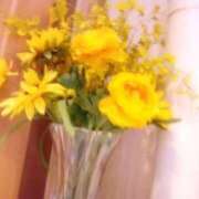 ヒメ日記 2024/12/29 09:20 投稿 安西 なつみ(体験) 人妻の雫　福山店