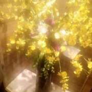 ヒメ日記 2025/01/24 11:20 投稿 安西 なつみ(体験) 人妻の雫　福山店