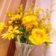 ヒメ日記 2025/02/14 18:51 投稿 安西 なつみ(体験) 人妻の雫　福山店