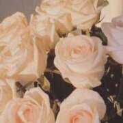 ヒメ日記 2024/12/25 09:21 投稿 りむ 西船人妻花壇