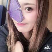 ヒメ日記 2025/02/14 09:19 投稿 りむ 西船人妻花壇