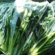 ヒメ日記 2025/03/14 11:34 投稿 りむ 西船人妻花壇