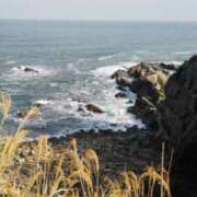 ヒメ日記 2025/03/30 15:57 投稿 りむ 西船人妻花壇