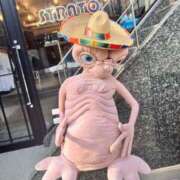 ヒメ日記 2025/04/05 10:38 投稿 りむ 西船人妻花壇