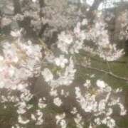 ヒメ日記 2025/04/06 13:06 投稿 りむ 西船人妻花壇