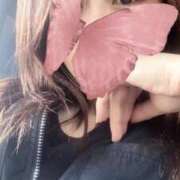 ヒメ日記 2025/04/07 21:52 投稿 りむ 西船人妻花壇