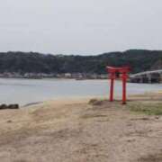 ヒメ日記 2025/04/13 08:48 投稿 りむ 西船人妻花壇