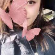 ヒメ日記 2025/04/16 07:36 投稿 りむ 西船人妻花壇