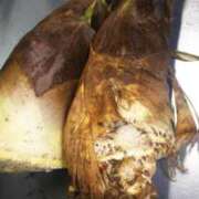 ヒメ日記 2025/04/20 23:00 投稿 りむ 西船人妻花壇