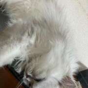 ヒメ日記 2025/06/12 09:41 投稿 りむ 西船人妻花壇