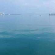 ヒメ日記 2025/06/18 08:01 投稿 りむ 西船人妻花壇