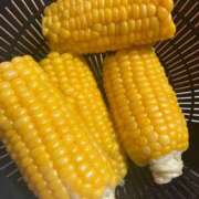 ヒメ日記 2025/07/01 09:56 投稿 りむ 西船人妻花壇