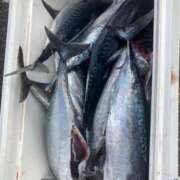 ヒメ日記 2025/07/05 08:01 投稿 りむ 西船人妻花壇