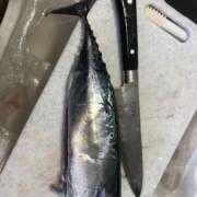 ヒメ日記 2025/07/05 14:17 投稿 りむ 西船人妻花壇