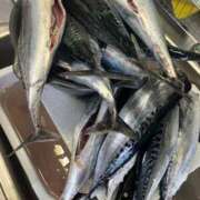 ヒメ日記 2025/07/05 14:42 投稿 りむ 西船人妻花壇