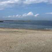 ヒメ日記 2025/07/19 07:05 投稿 りむ 西船人妻花壇