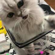 ヒメ日記 2025/07/20 21:47 投稿 りむ 西船人妻花壇