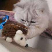 ヒメ日記 2025/08/21 08:15 投稿 りむ 西船人妻花壇