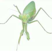 ヒメ日記 2025/09/18 15:56 投稿 りむ 西船人妻花壇