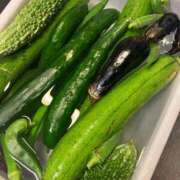 ヒメ日記 2025/09/26 21:09 投稿 りむ 西船人妻花壇