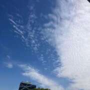 ヒメ日記 2025/10/02 11:16 投稿 りむ 西船人妻花壇