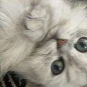 ヒメ日記 2025/10/03 06:05 投稿 りむ 西船人妻花壇