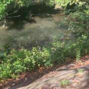 ヒメ日記 2025/10/08 11:56 投稿 りむ 西船人妻花壇