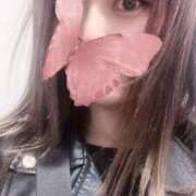 ヒメ日記 2025/11/15 14:37 投稿 りむ 西船人妻花壇