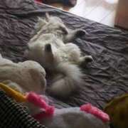 ヒメ日記 2025/11/19 09:03 投稿 りむ 西船人妻花壇