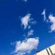 ヒメ日記 2025/11/22 12:51 投稿 りむ 西船人妻花壇