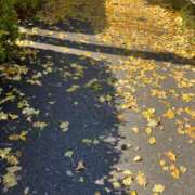 ヒメ日記 2025/11/28 17:19 投稿 りむ 西船人妻花壇