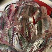 ヒメ日記 2025/12/03 18:16 投稿 りむ 西船人妻花壇