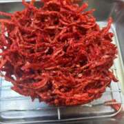 ヒメ日記 2025/12/19 15:28 投稿 りむ 西船人妻花壇