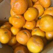 ヒメ日記 2025/12/29 21:01 投稿 りむ 西船人妻花壇