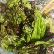 ヒメ日記 2026/01/11 18:17 投稿 りむ 西船人妻花壇