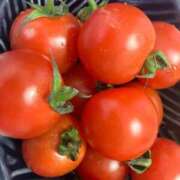 ヒメ日記 2026/01/18 11:26 投稿 りむ 西船人妻花壇