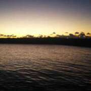 ヒメ日記 2026/01/23 07:08 投稿 りむ 西船人妻花壇