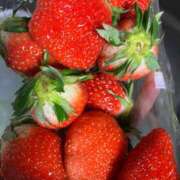 ヒメ日記 2026/02/15 00:34 投稿 りむ 西船人妻花壇