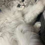 ヒメ日記 2026/04/01 08:56 投稿 りむ 西船人妻花壇