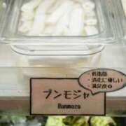 ヒメ日記 2026/04/06 10:54 投稿 りむ 西船人妻花壇