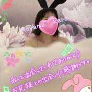 ヒメ日記 2024/12/29 08:04 投稿 青山らら(あおやまらら) 五十路マダムエクスプレス厚木店(カサブランカグループ)