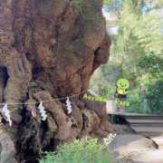 ヒメ日記 2025/01/02 09:16 投稿 青山らら(あおやまらら) 五十路マダムエクスプレス厚木店(カサブランカグループ)