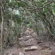 ヒメ日記 2025/03/06 19:00 投稿 青山らら(あおやまらら) 五十路マダムエクスプレス厚木店(カサブランカグループ)