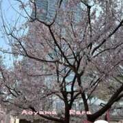 ヒメ日記 2025/03/25 18:56 投稿 青山らら(あおやまらら) 五十路マダムエクスプレス厚木店(カサブランカグループ)