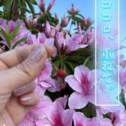 ヒメ日記 2025/04/22 14:08 投稿 青山らら(あおやまらら) 五十路マダムエクスプレス厚木店(カサブランカグループ)