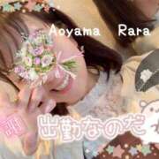 ヒメ日記 2025/04/23 11:12 投稿 青山らら(あおやまらら) 五十路マダムエクスプレス厚木店(カサブランカグループ)