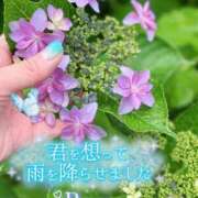 ヒメ日記 2025/05/31 10:30 投稿 青山らら(あおやまらら) 五十路マダムエクスプレス厚木店(カサブランカグループ)