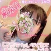 ヒメ日記 2025/06/03 08:16 投稿 青山らら(あおやまらら) 五十路マダムエクスプレス厚木店(カサブランカグループ)